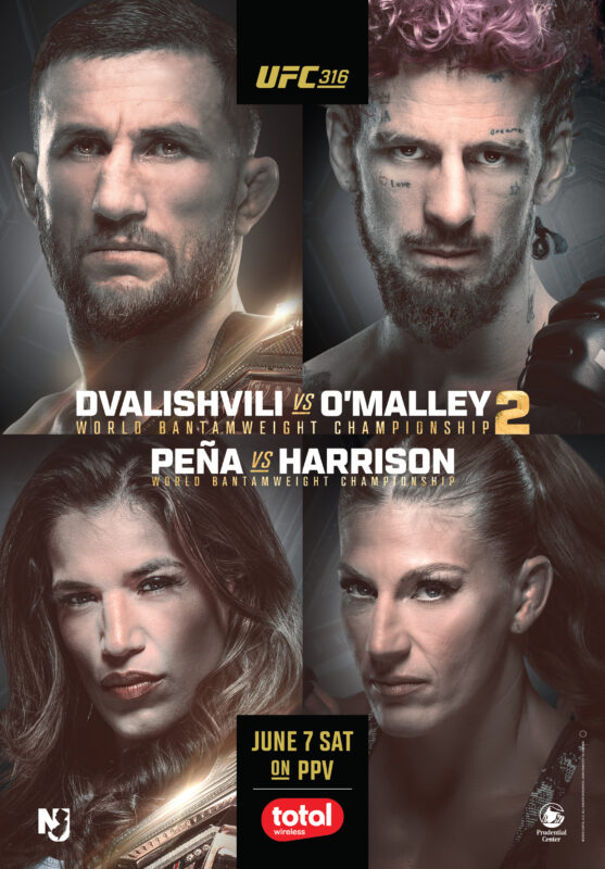 ufc 316 poster